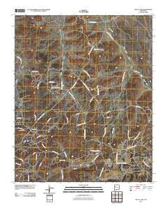 Nicoll Lake New Mexico Historical topographic map, 1:24000 scale, 7.5 X 7.5 Minute, Year 2010