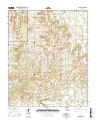 Nicoll Lake New Mexico Current topographic map, 1:24000 scale, 7.5 X 7.5 Minute, Year 2017