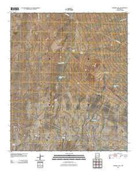 Ninemile Hill New Mexico Historical topographic map, 1:24000 scale, 7.5 X 7.5 Minute, Year 2010