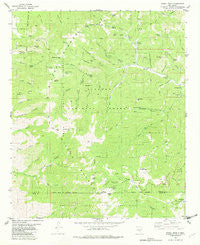 Nogal Peak New Mexico Historical topographic map, 1:24000 scale, 7.5 X 7.5 Minute, Year 1982