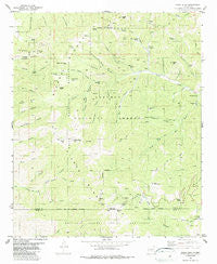 Nogal Peak New Mexico Historical topographic map, 1:24000 scale, 7.5 X 7.5 Minute, Year 1982