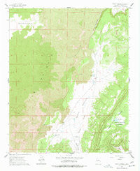 North Pasture New Mexico Historical topographic map, 1:24000 scale, 7.5 X 7.5 Minute, Year 1961