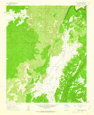 North Pasture New Mexico Historical topographic map, 1:24000 scale, 7.5 X 7.5 Minute, Year 1961