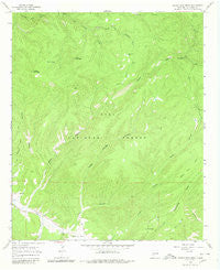 North Star Mesa New Mexico Historical topographic map, 1:24000 scale, 7.5 X 7.5 Minute, Year 1965