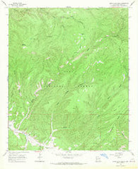 North Star Mesa New Mexico Historical topographic map, 1:24000 scale, 7.5 X 7.5 Minute, Year 1965