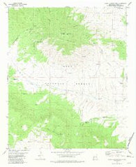 O Bar O Canyon West New Mexico Historical topographic map, 1:24000 scale, 7.5 X 7.5 Minute, Year 1981