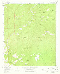 O Block Canyon New Mexico Historical topographic map, 1:24000 scale, 7.5 X 7.5 Minute, Year 1963