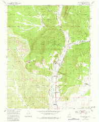 Ojo Caliente New Mexico Historical topographic map, 1:24000 scale, 7.5 X 7.5 Minute, Year 1953