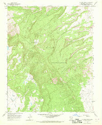 Old Pine Spring New Mexico Historical topographic map, 1:24000 scale, 7.5 X 7.5 Minute, Year 1966