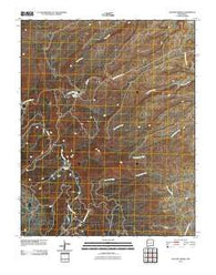 Old Pine Spring New Mexico Historical topographic map, 1:24000 scale, 7.5 X 7.5 Minute, Year 2010