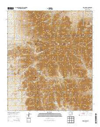 Organ Peak New Mexico Historical topographic map, 1:24000 scale, 7.5 X 7.5 Minute, Year 2013