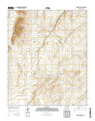 Orndorff Ranch New Mexico Historical topographic map, 1:24000 scale, 7.5 X 7.5 Minute, Year 2013