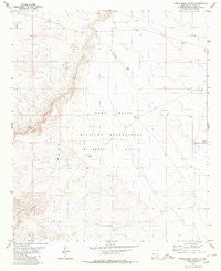 Otero Mesa North New Mexico Historical topographic map, 1:24000 scale, 7.5 X 7.5 Minute, Year 1980