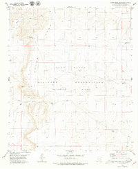 Otero Mesa South New Mexico Historical topographic map, 1:24000 scale, 7.5 X 7.5 Minute, Year 1979