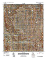 Owl Tank Canyon West New Mexico Historical topographic map, 1:24000 scale, 7.5 X 7.5 Minute, Year 2010