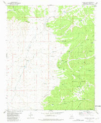 Paddys Hole New Mexico Historical topographic map, 1:24000 scale, 7.5 X 7.5 Minute, Year 1981