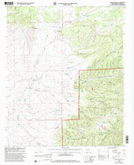 Paddys Hole New Mexico Historical topographic map, 1:24000 scale, 7.5 X 7.5 Minute, Year 1999