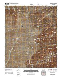 Paddys Hole New Mexico Historical topographic map, 1:24000 scale, 7.5 X 7.5 Minute, Year 2011