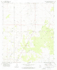 Paduca Breaks West New Mexico Historical topographic map, 1:24000 scale, 7.5 X 7.5 Minute, Year 1973