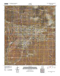 Paduca Breaks East New Mexico Historical topographic map, 1:24000 scale, 7.5 X 7.5 Minute, Year 2010