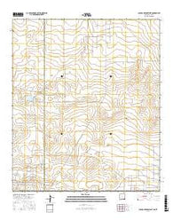 Paduca Breaks West New Mexico Current topographic map, 1:24000 scale, 7.5 X 7.5 Minute, Year 2017