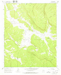 Page New Mexico Historical topographic map, 1:24000 scale, 7.5 X 7.5 Minute, Year 1962