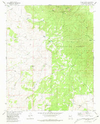 Pajaro Canyon New Mexico Historical topographic map, 1:24000 scale, 7.5 X 7.5 Minute, Year 1981