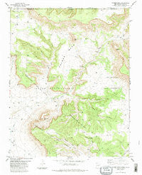 Palmer Mesa New Mexico Historical topographic map, 1:24000 scale, 7.5 X 7.5 Minute, Year 1983