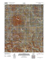Palo Blanco Mountain New Mexico Historical topographic map, 1:24000 scale, 7.5 X 7.5 Minute, Year 2010