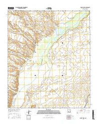 Paraje Well New Mexico Current topographic map, 1:24000 scale, 7.5 X 7.5 Minute, Year 2017