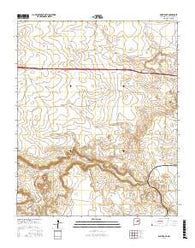 Pastura NE New Mexico Current topographic map, 1:24000 scale, 7.5 X 7.5 Minute, Year 2017
