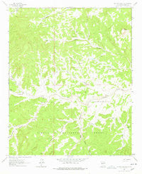 Pasture Canyon New Mexico Historical topographic map, 1:24000 scale, 7.5 X 7.5 Minute, Year 1964