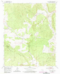 Paxton Springs New Mexico Historical topographic map, 1:24000 scale, 7.5 X 7.5 Minute, Year 1952