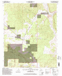 Paxton Springs New Mexico Historical topographic map, 1:24000 scale, 7.5 X 7.5 Minute, Year 1995