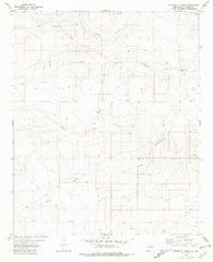 Pedernal Arroyo New Mexico Historical topographic map, 1:24000 scale, 7.5 X 7.5 Minute, Year 1981