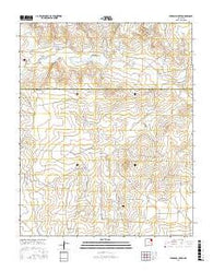 Pedernal Creek New Mexico Current topographic map, 1:24000 scale, 7.5 X 7.5 Minute, Year 2017