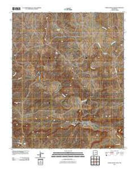 Pedro Miguel Peak New Mexico Historical topographic map, 1:24000 scale, 7.5 X 7.5 Minute, Year 2010