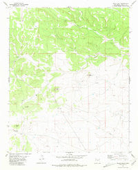 Pelon Hill New Mexico Historical topographic map, 1:24000 scale, 7.5 X 7.5 Minute, Year 1981