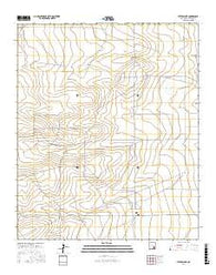 Peters Lake New Mexico Current topographic map, 1:24000 scale, 7.5 X 7.5 Minute, Year 2017