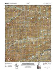 Piedra De La Aguila New Mexico Historical topographic map, 1:24000 scale, 7.5 X 7.5 Minute, Year 2010