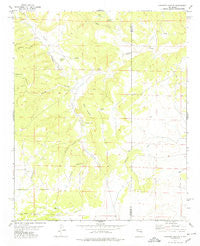 Pinavete Canyon New Mexico Historical topographic map, 1:24000 scale, 7.5 X 7.5 Minute, Year 1978