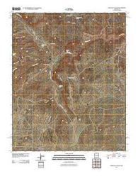 Pinavete Canyon New Mexico Historical topographic map, 1:24000 scale, 7.5 X 7.5 Minute, Year 2010