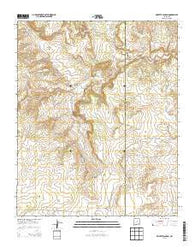 Pinavete Canyon New Mexico Historical topographic map, 1:24000 scale, 7.5 X 7.5 Minute, Year 2013