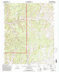 Pine Lake New Mexico Historical topographic map, 1:24000 scale, 7.5 X 7.5 Minute, Year 1995
