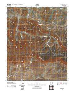 Pinedale New Mexico Historical topographic map, 1:24000 scale, 7.5 X 7.5 Minute, Year 2010