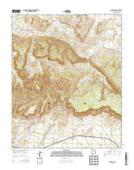 Pinedale New Mexico Historical topographic map, 1:24000 scale, 7.5 X 7.5 Minute, Year 2013