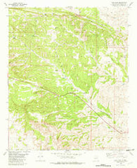 Pink Peak New Mexico Historical topographic map, 1:24000 scale, 7.5 X 7.5 Minute, Year 1982