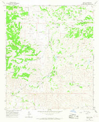 Pinon New Mexico Historical topographic map, 1:24000 scale, 7.5 X 7.5 Minute, Year 1965