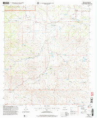 Pinon New Mexico Historical topographic map, 1:24000 scale, 7.5 X 7.5 Minute, Year 2004
