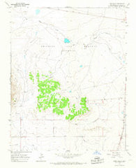 Pinon Hills New Mexico Historical topographic map, 1:24000 scale, 7.5 X 7.5 Minute, Year 1964